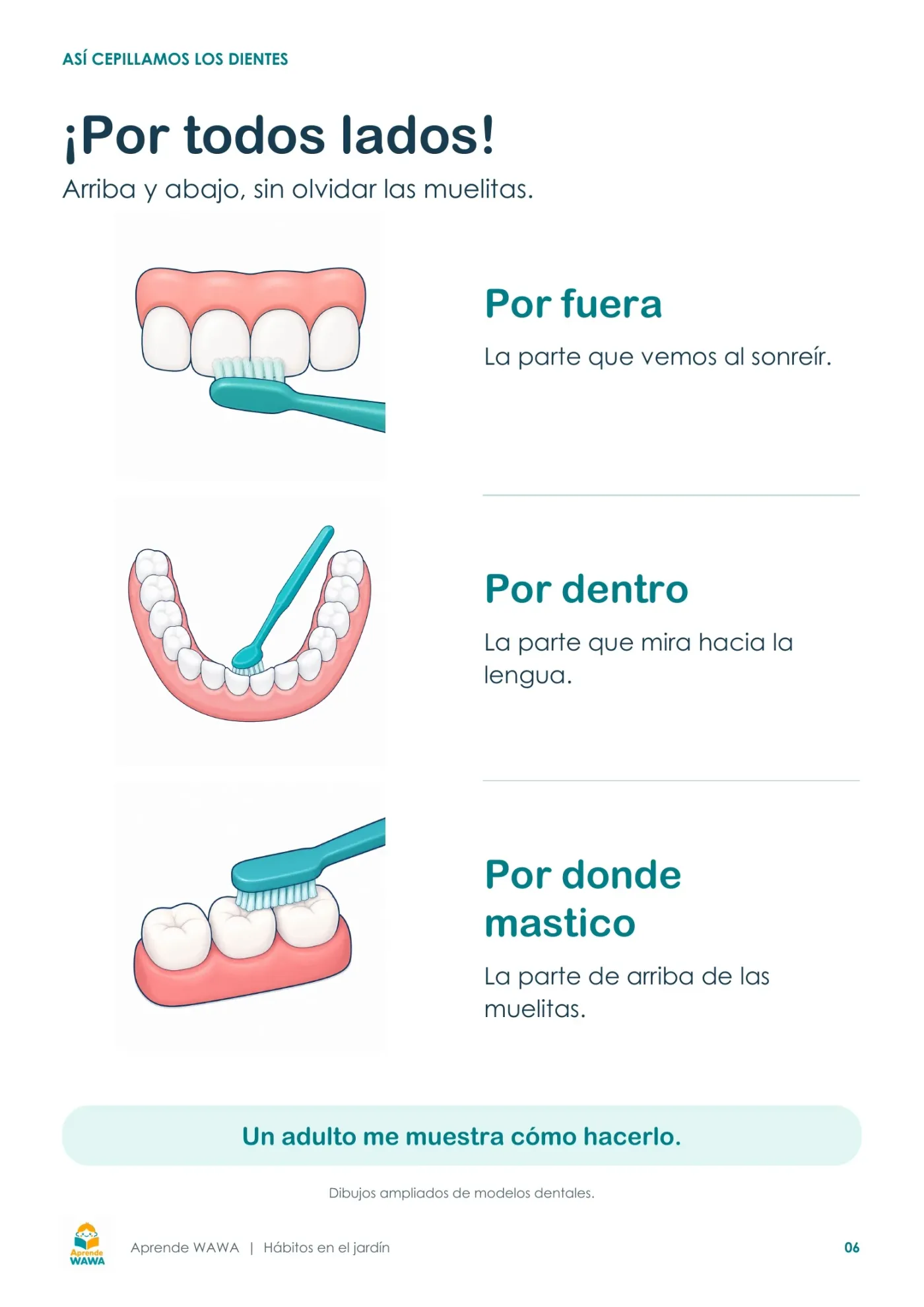 Lámina de Pasos para el lavado de dientes para niños de 3 a 5 años