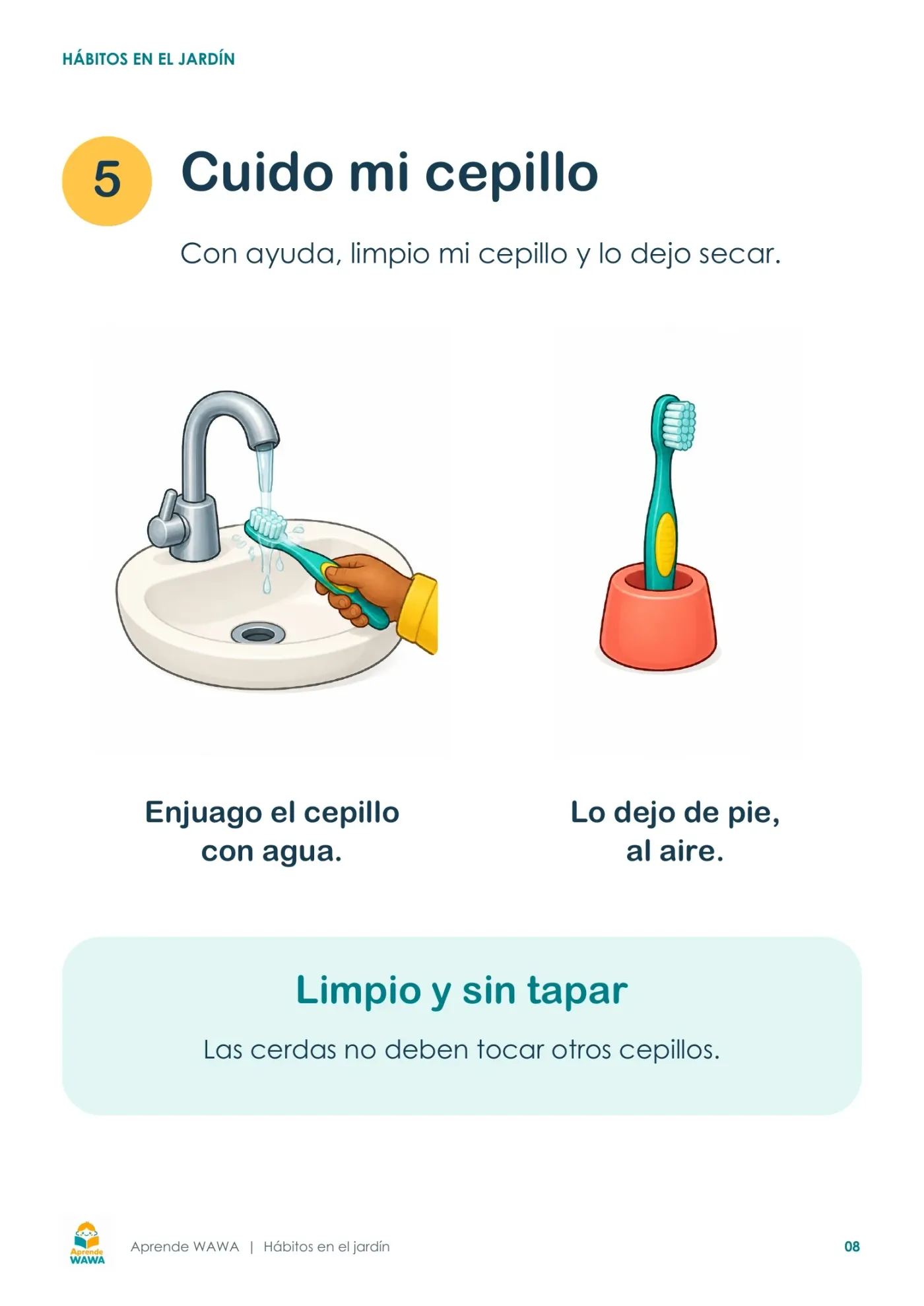 Lámina de Pasos para el lavado de dientes para niños de 3 a 5 años