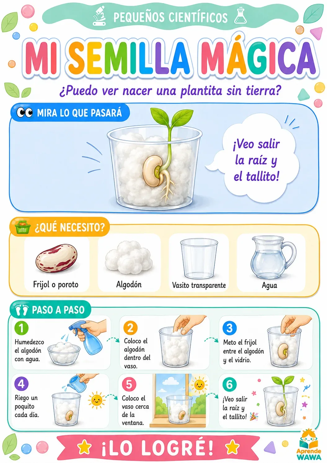 🔬 Pequeños Científicos: Experimentos Divertidos para tus Peques